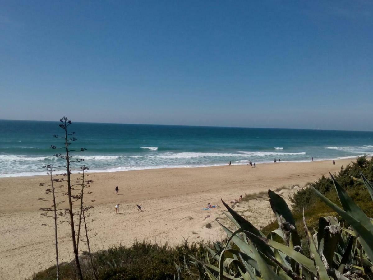 Casa "El Pinar" Villa Chiclana de la Frontera Bagian luar foto